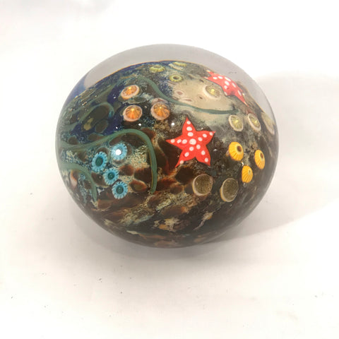 Paperweight (Coral Reef)