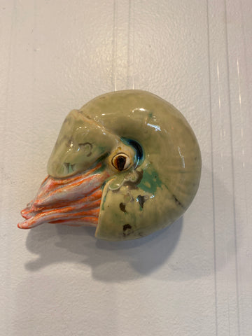 Fish - Nautilus