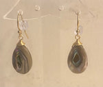 Earrings (abalone)