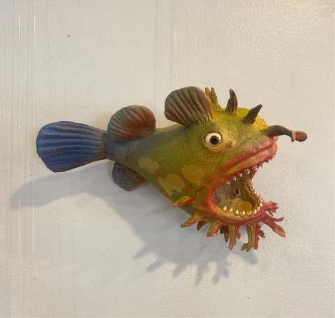Fish (Angler Fish)