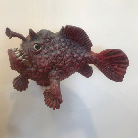 Fish (Ocellated Frog Fish)